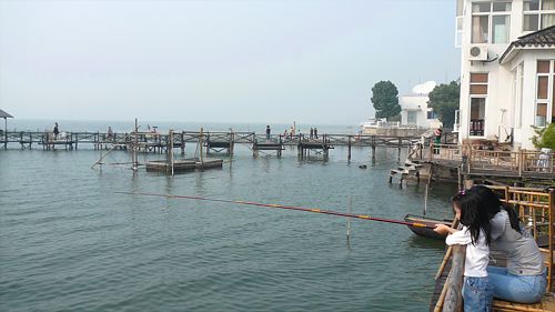 20061005_145327.jpg