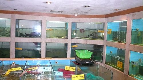 20061121_123307_01.jpg
