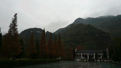 20061122_133601_01.jpg