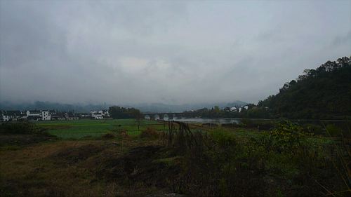 20061122_134031_01.jpg