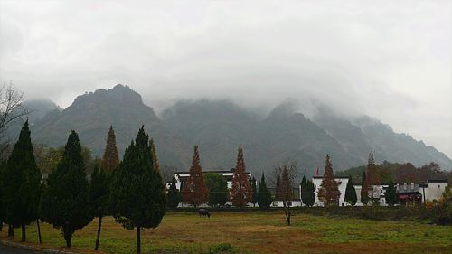 20061122_134057_01.jpg