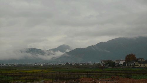 20061122_150231_01.jpg