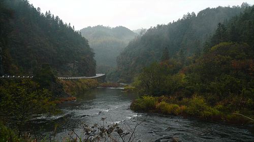 20061122_154529_01.jpg