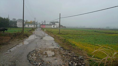 20061123_110100_01.jpg