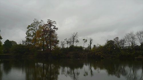 20061123_114346_01.jpg