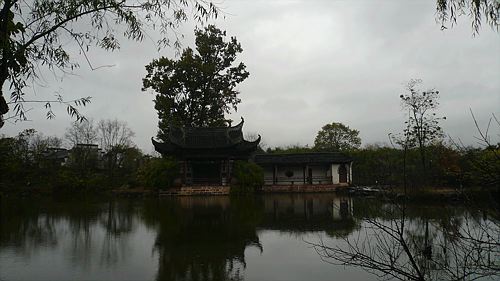 20061123_115003_01.jpg
