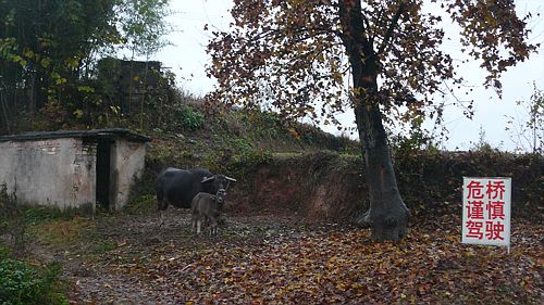 20061123_115602_01.jpg