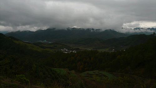20061123_130620_01.jpg