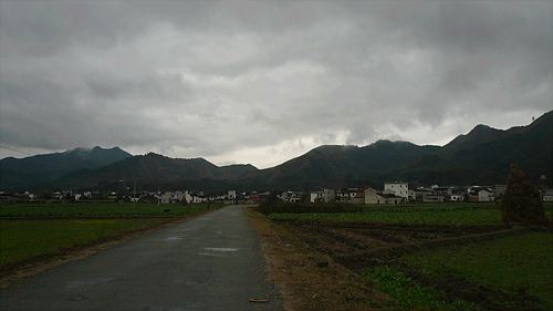 20061123_131515_01.jpg
