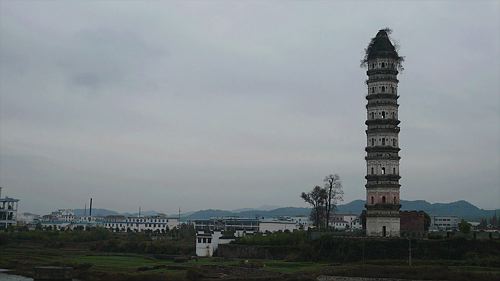 20061124_130932_01.jpg
