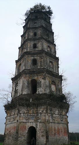 20061124_132925_01.jpg