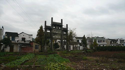 20061124_133723_01.jpg