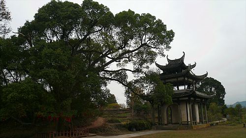 20061124_135918_01.jpg