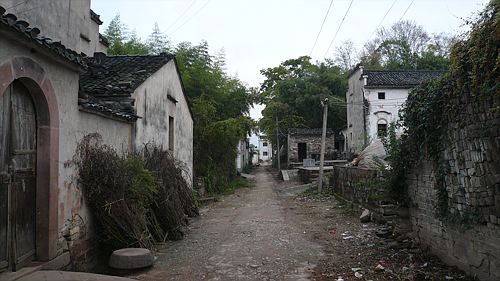 20061124_145056_01.jpg
