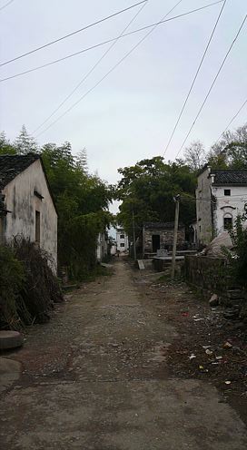 20061124_145100_01.jpg