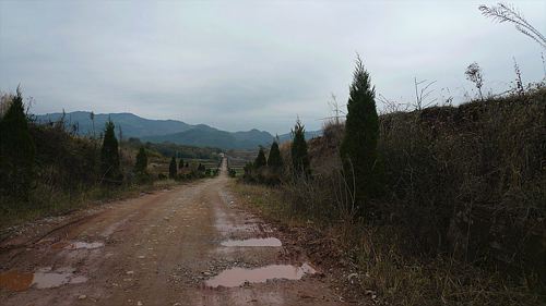 20061124_151159_01.jpg