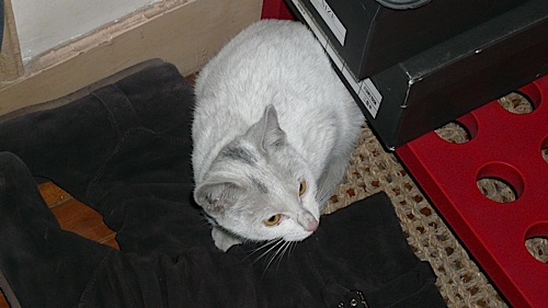 20061221_225612_01.jpg