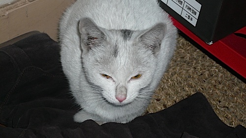 20061221_225633_01.jpg