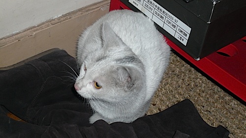 20061221_225650_01.jpg