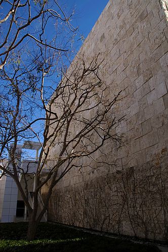 20070204_111923-D100.jpg