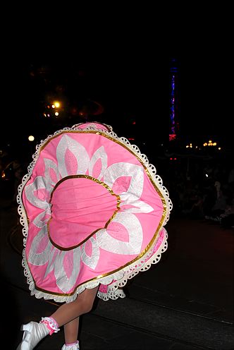 20070205_192212-D100.jpg
