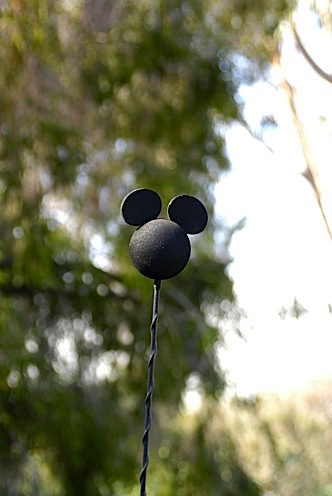 20070206_133036-D100.jpg