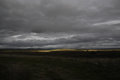 20070208_164659-D100.jpg