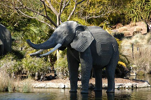 20070215_111951-D100.jpg