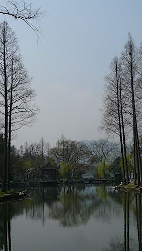20070320_113710.jpg