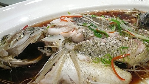 20070324_131723.jpg