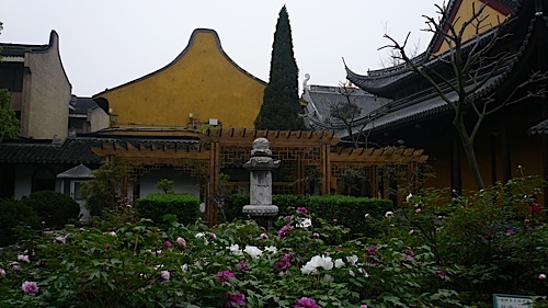 20070331_141727-LUMIX.jpg