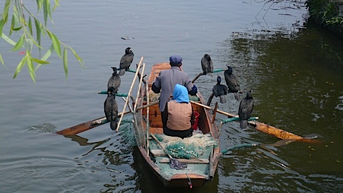 20070408_134730-LUMIX.jpg