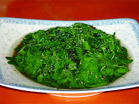 20031022_04.jpg