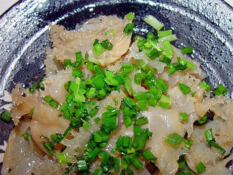 20031025_jellyfish_01.jpg