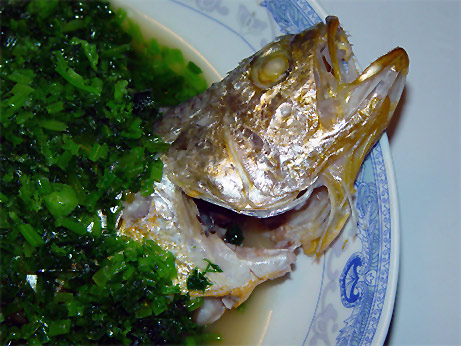 20031025_yellow_fin_tuna_01.jpg