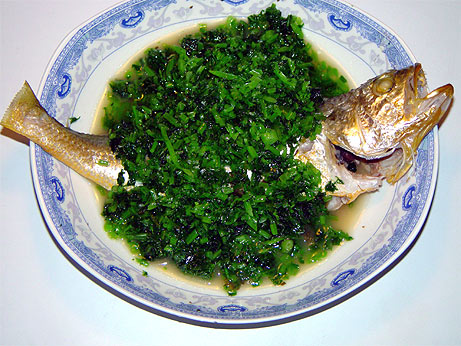 20031025_yellow_fin_tuna_02.jpg