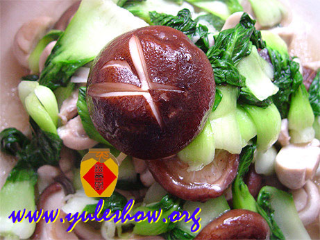 20031130_cooking_07.jpg