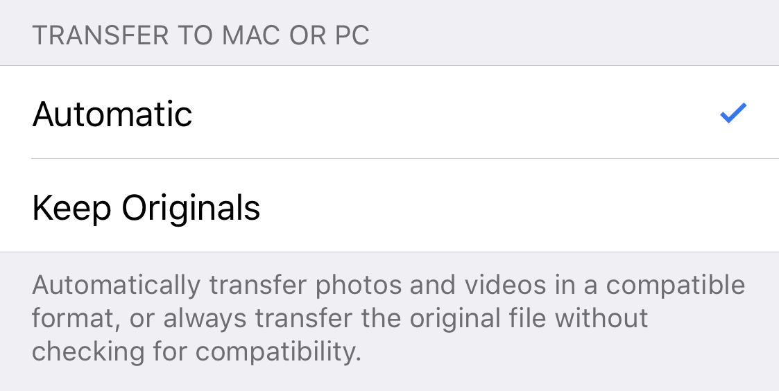 IMG_0528.PNG